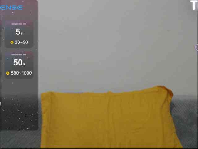ElyStar1 webcam