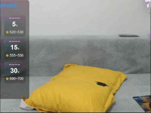 ElyStar1 webcam