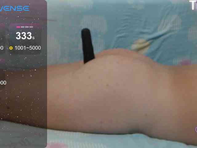 ElyStar1 webcam