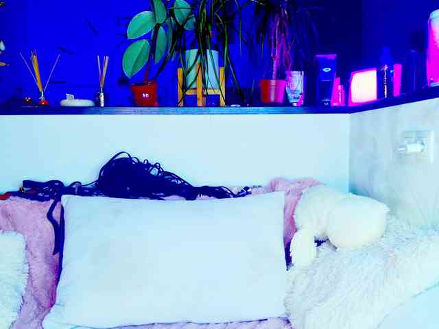 _JuliaSpace_ webcam