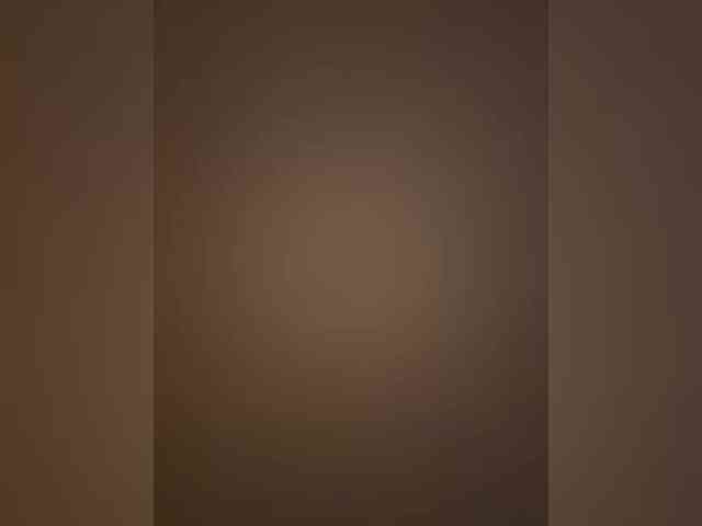 BEHEPA webcam