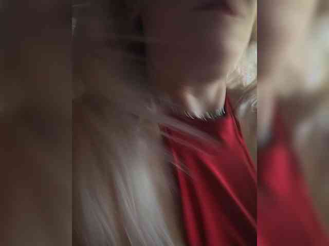 Модель: _AMBASSADOR_