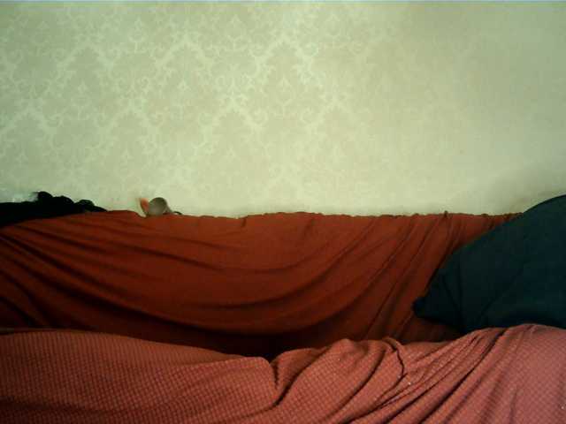 le modèle hotangel-fun1 est en webcam porno dans un show sur le site bongacams, il possède les tags suivants: White/Caucasian,Brunette,Hairy