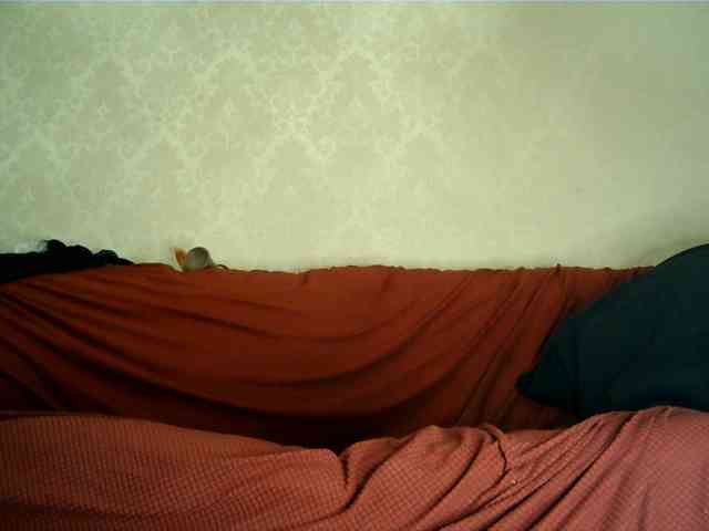 hotangel-fun1 webcam