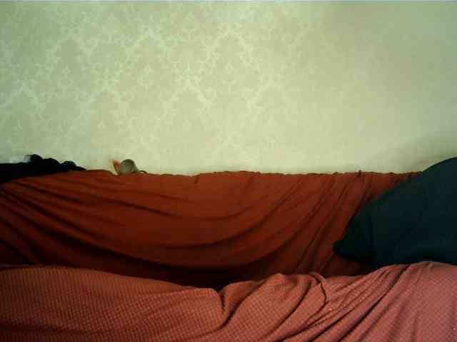 hotangel-fun1 webcam