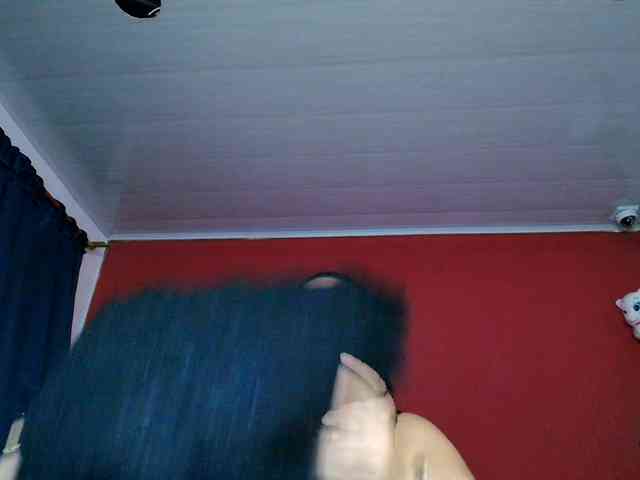 lulubigtitts webcam