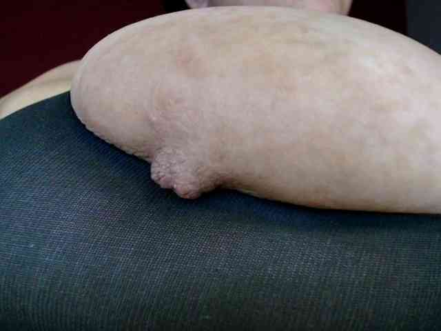 lulubigtitts webcam
