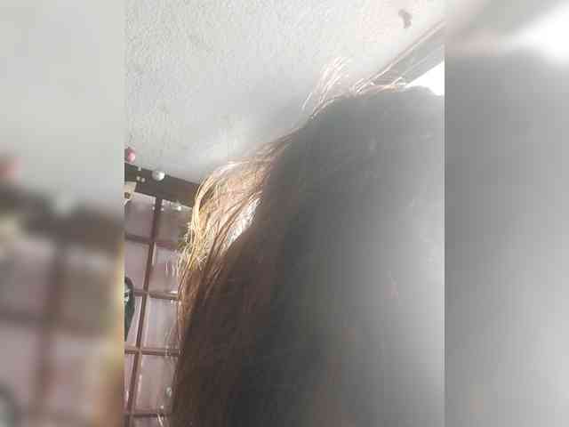 lebannon webcam