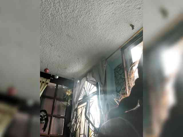 lebannon webcam