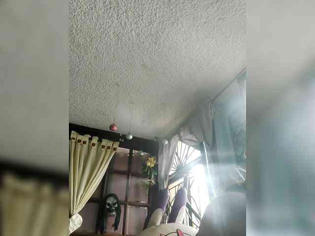lebannon webcam