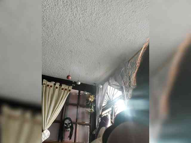lebannon webcam