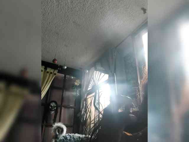 lebannon webcam