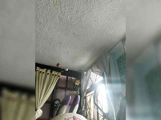 lebannon webcam