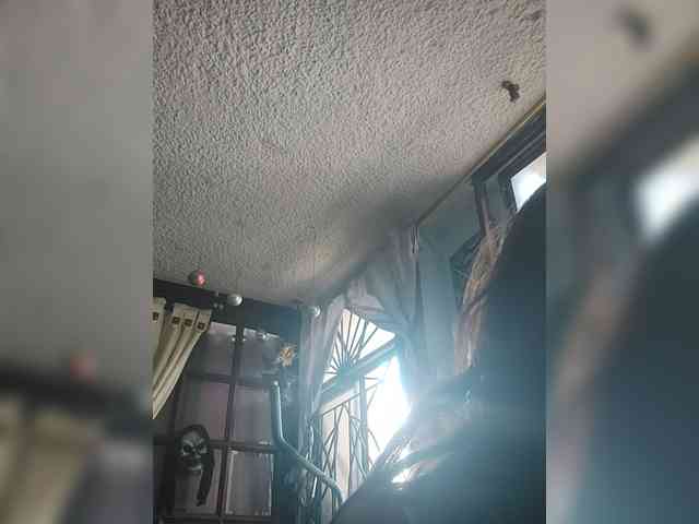 lebannon webcam