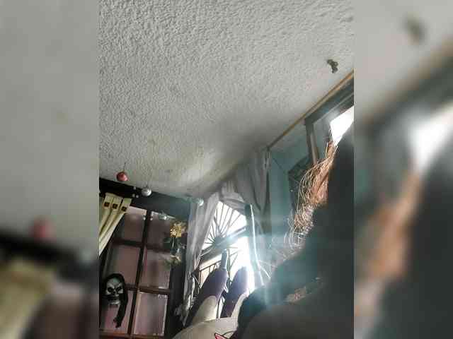 lebannon webcam