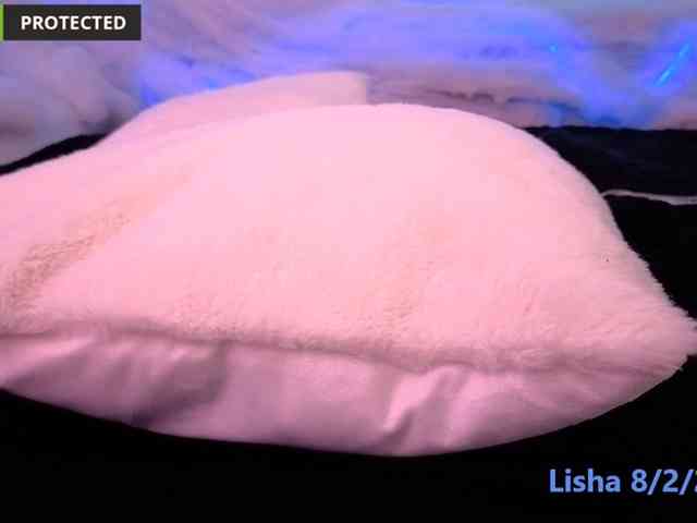 Lishasworld webcam