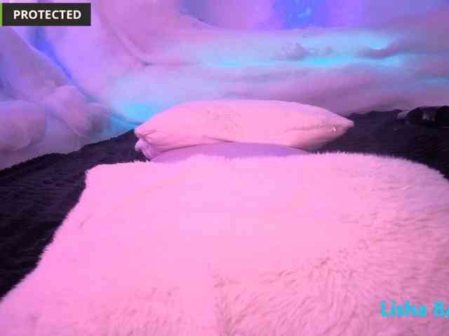 Lishasworld webcam