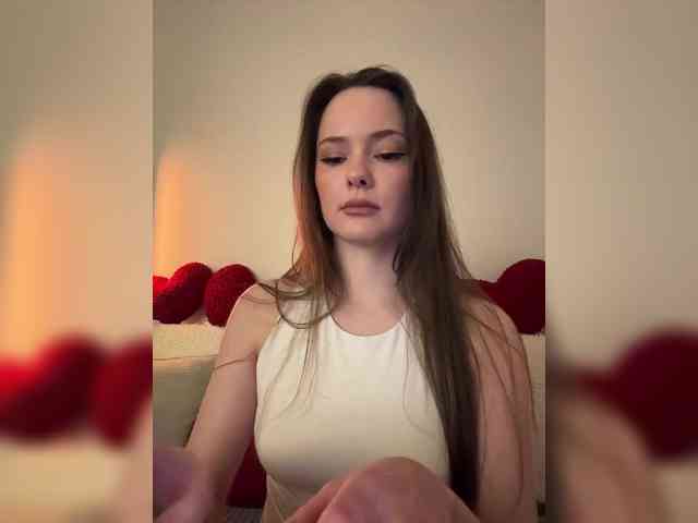 Модель: North-Pole