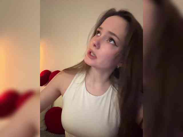 Модель: North-Pole