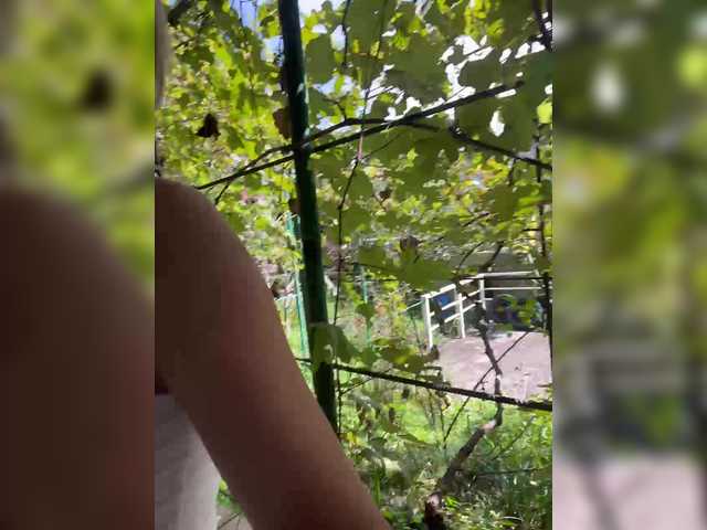 AlisaKisa555 live cam on BongaCams
