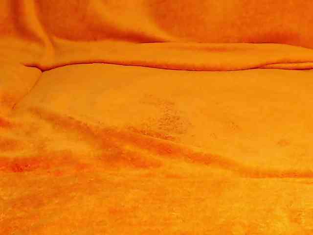 jasmin10000 webcam