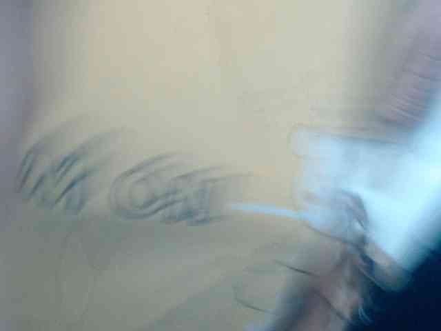 Siblleyx webcam
