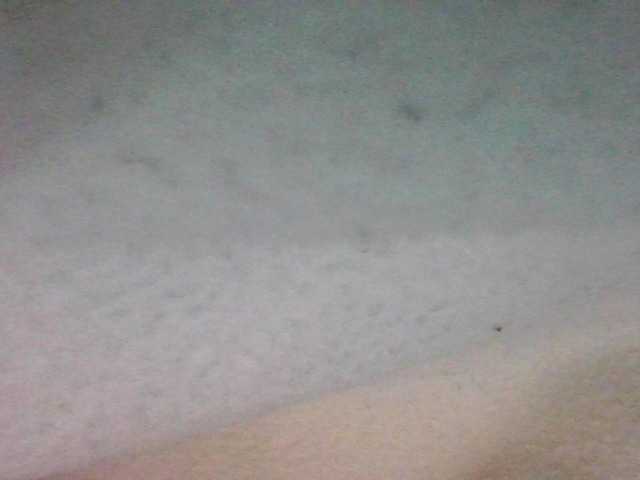 luisplus