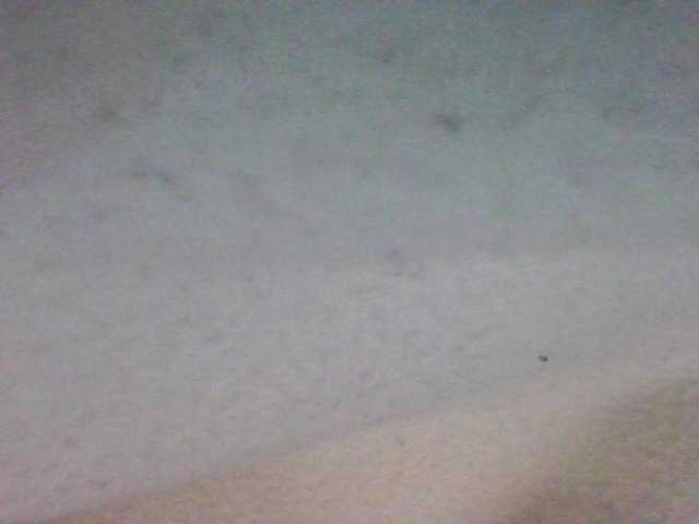 luisplus