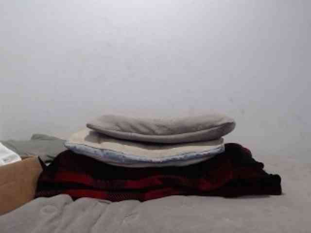 hotmodel1984 webcam