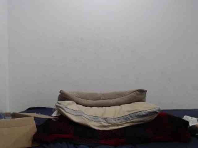hotmodel1984 webcam