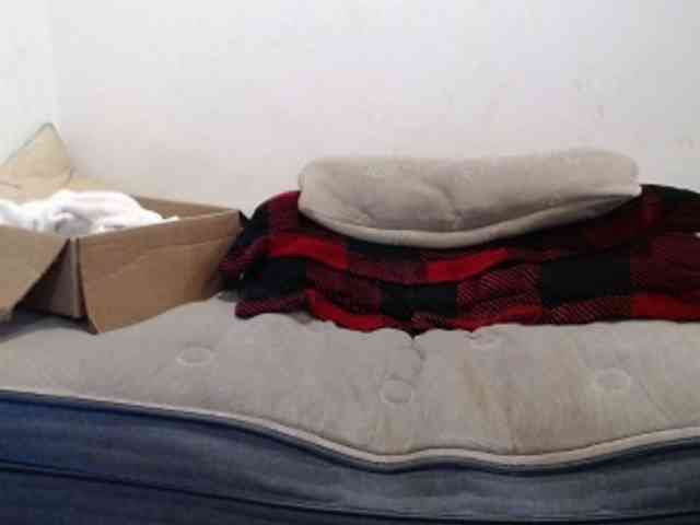 hotmodel1984 webcam