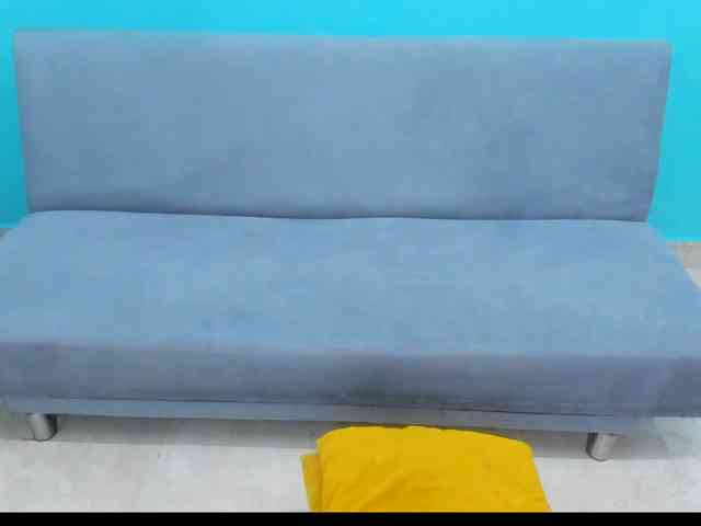 Swinger-Party webcam