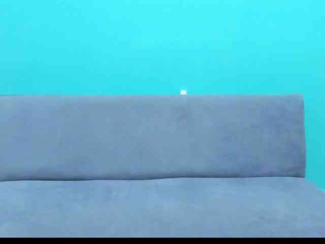 Swinger-Party webcam