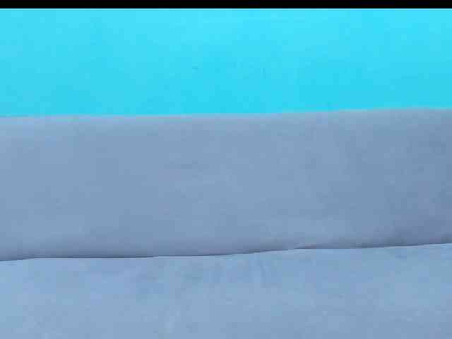 Swinger-Party webcam