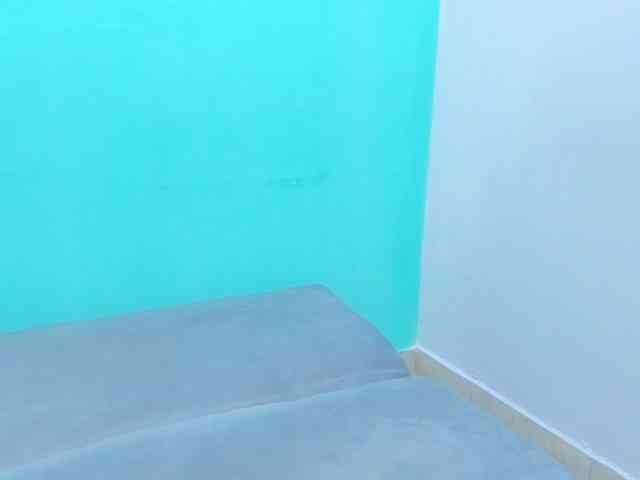 Swinger-Party webcam