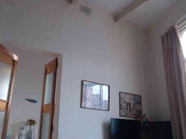 lilcumminfox webcam