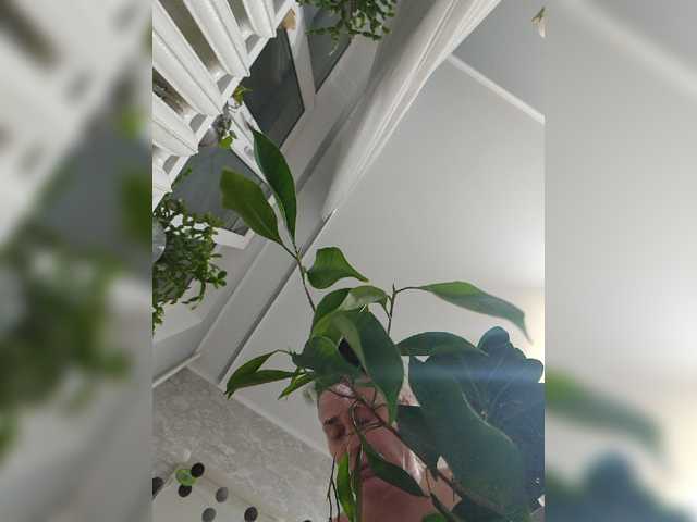 hotzlata live cam preview