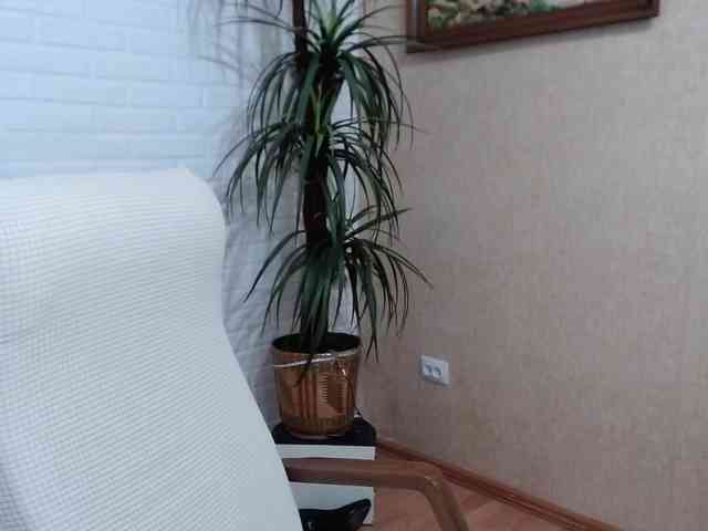 VishenkaStar webcam