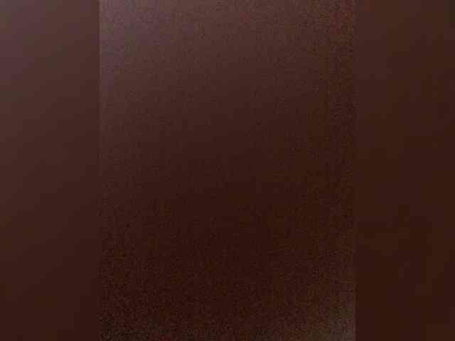 VishenkaStar webcam