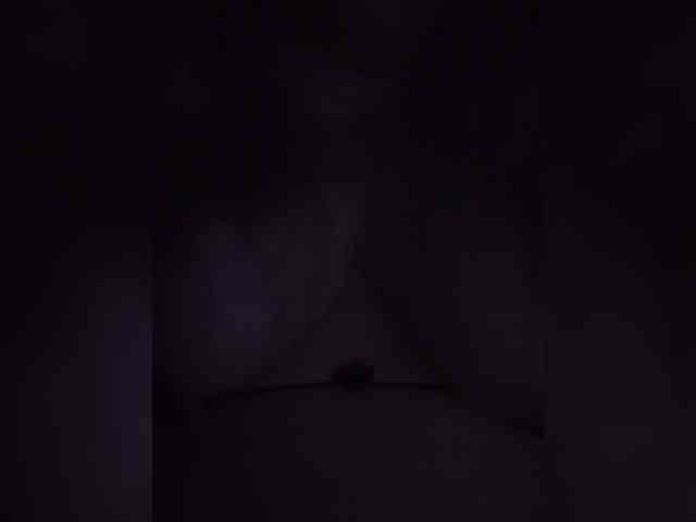 VishenkaStar webcam