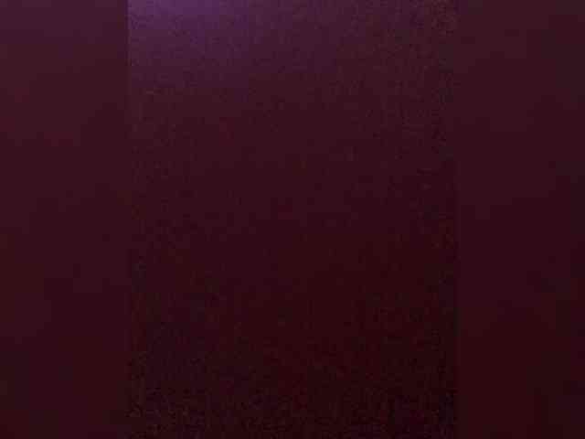 VishenkaStar webcam