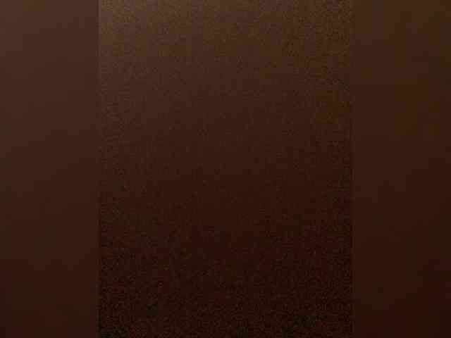 VishenkaStar webcam