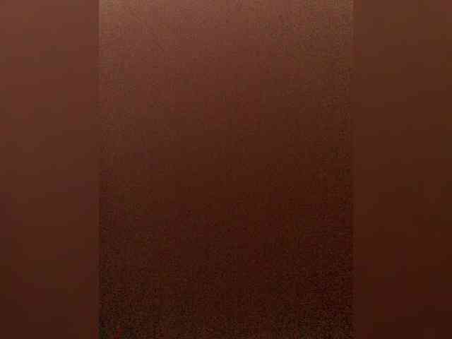 VishenkaStar webcam