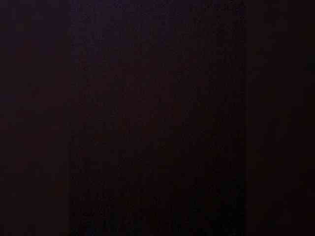 VishenkaStar webcam