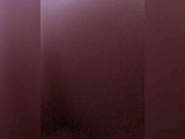 VishenkaStar webcam