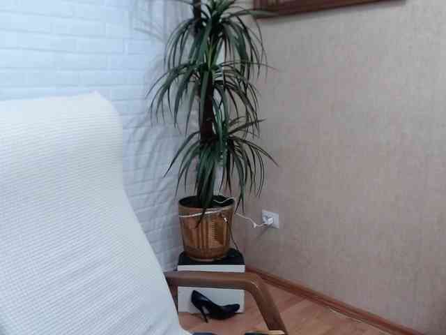 VishenkaStar webcam