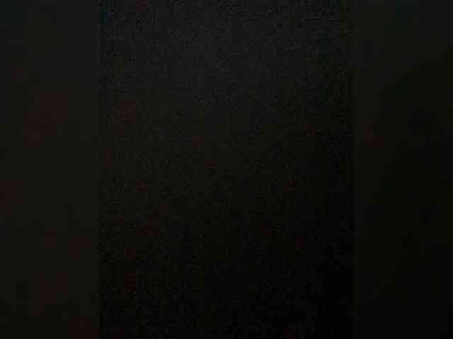 VishenkaStar webcam