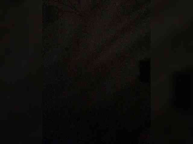 VishenkaStar webcam
