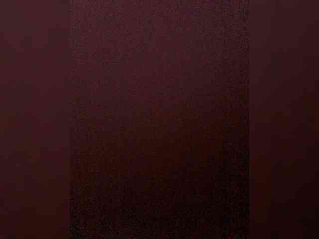 vishenkastar's live room