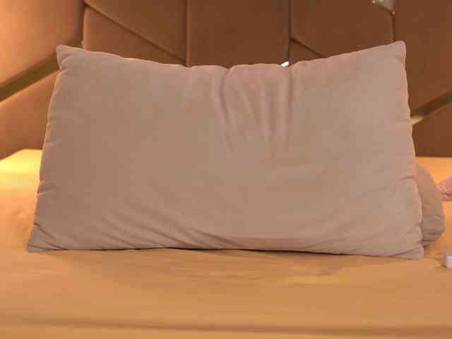 Модель: Cinnabon_ga